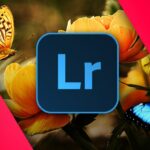 Adobe Lightroom Classic CC: Master the Develop Module