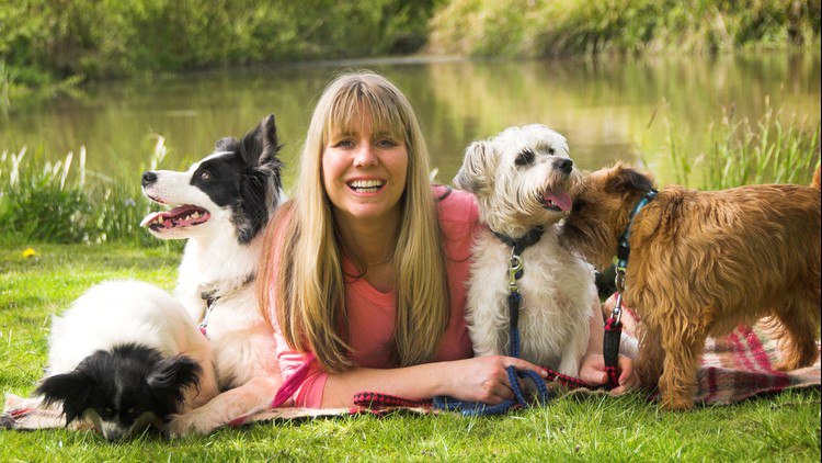 Dog Training – Running A Dog Training Business