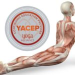 Yoga Anatomy & Physiology Certificate – Yoga Alliance YACEP