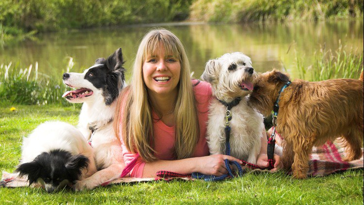 Dog Training – Stop Dog Barking  – Easy Dog Training Methods