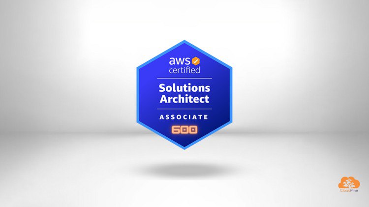 Ultimate AWS Solutions Architect Practice Exams 2023 600+ Q