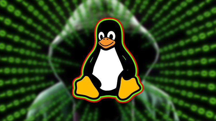 Mastering Linux: The Complete Guide to Becoming a Linux Pro