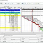 Primavera P6: Plan and manage a project