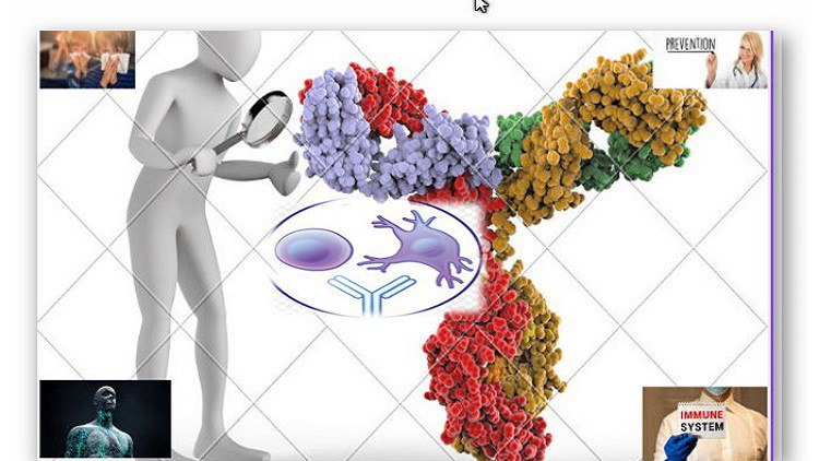 immunology step by step