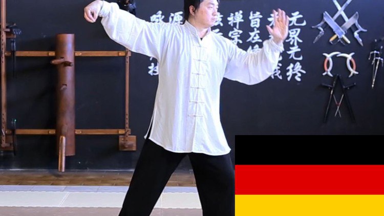 Tai Chi 24 – Sektionen (mit Erklärungen)