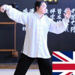 Tai Chi Combat Application based on Tai Chi 24 Form