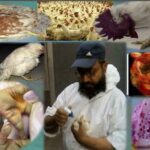 poultry farming viral diseases threaten poultry industry