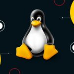 Learn Linux and Shell Scripting From Basic To Advanced