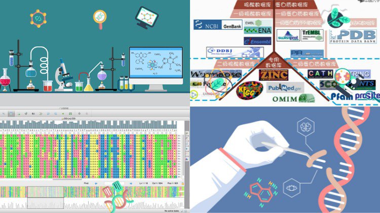 kickstart your journey to be Bioinformatician(A-Z Guide)2022