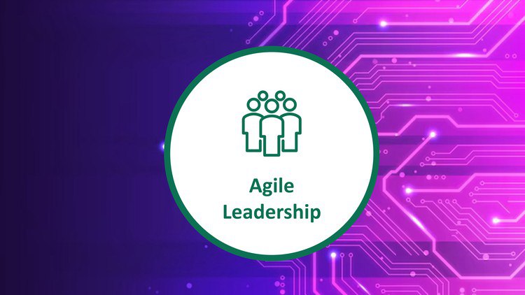 Scrum Agile Leadership Certification – Practice Exams – 2024