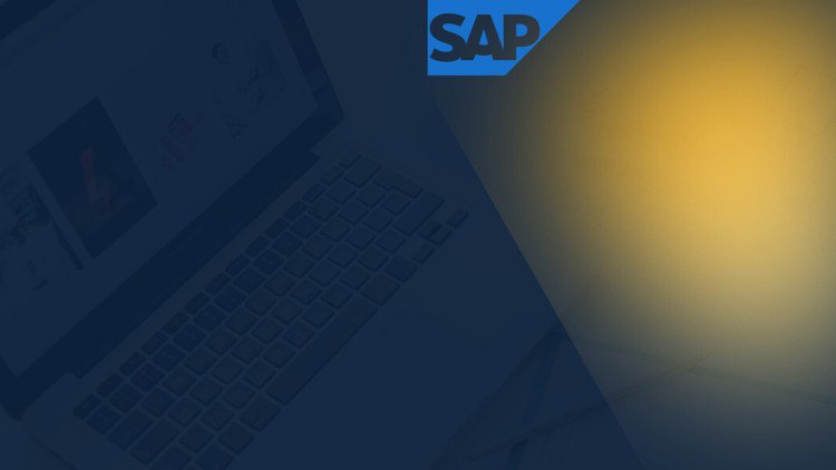 Learn SAP HCM + Lifetime access to SAP Server for practice