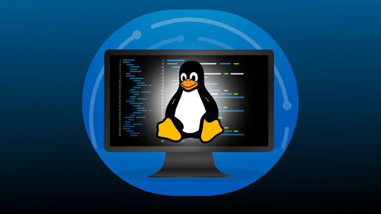 Learn Linux: Mastering Installation to Scripting (2024)