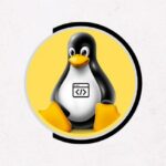 Linux Shell Scripting & Vi Editor Mastery Course [2024] !