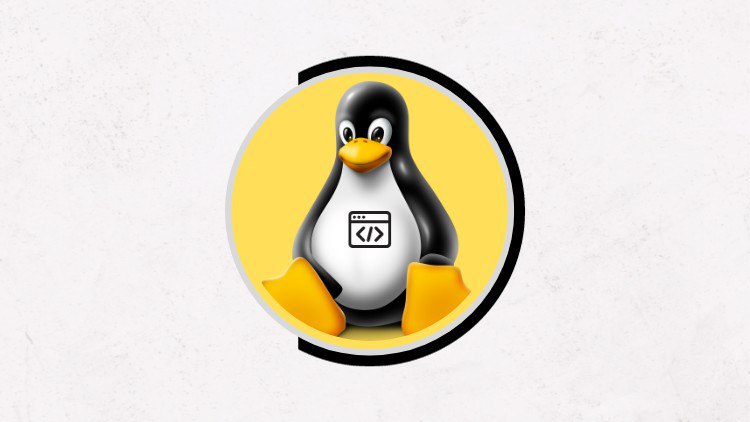 Linux Shell Scripting & Vi Editor Mastery Course [2024] !