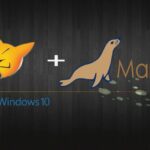 Entrenamiento Visual FoxPro 9 y MariaDB -Mod01