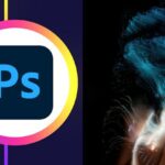 Essential Photoshop Course Beginner to Intermediate