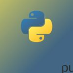 python crash course 2024