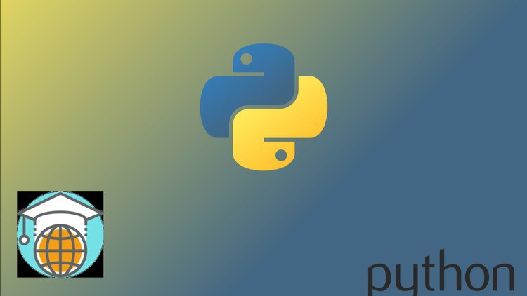 python crash course 2024