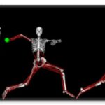 Biomechanical Principles: Optimizing Movements With Physics