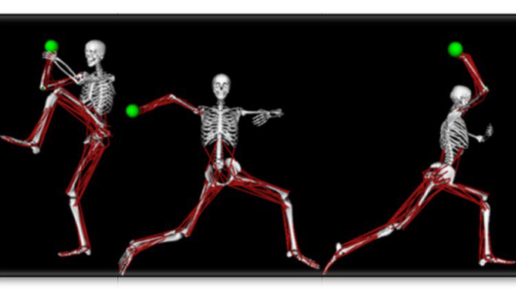 Biomechanical Principles: Optimizing Movements With Physics