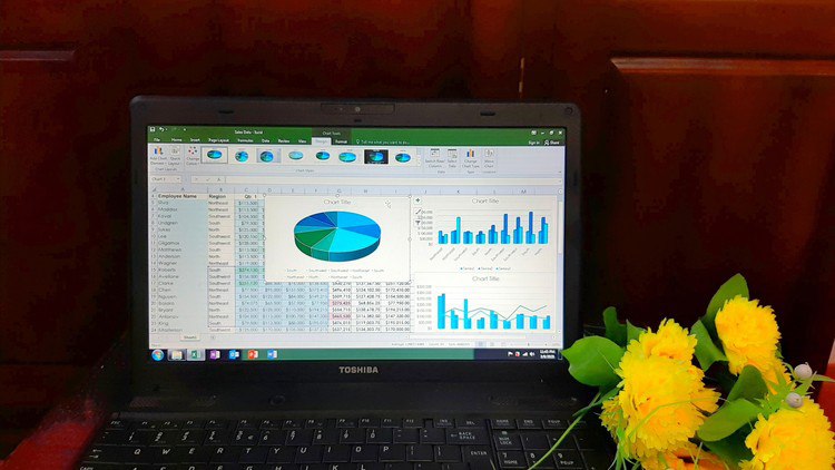 Advanced Microsoft Excel Formulas & Functions – 2024