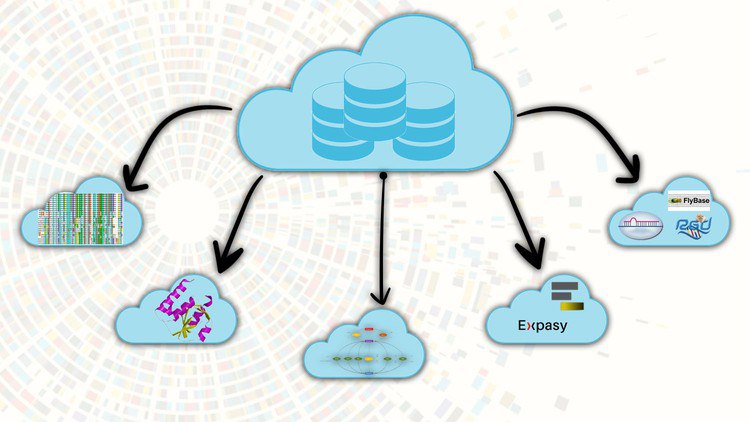 A Comprehensive Guide to Databases in Bioinformatics