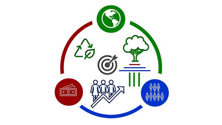 Winning Strategies in Corporate Sustainability and ESG