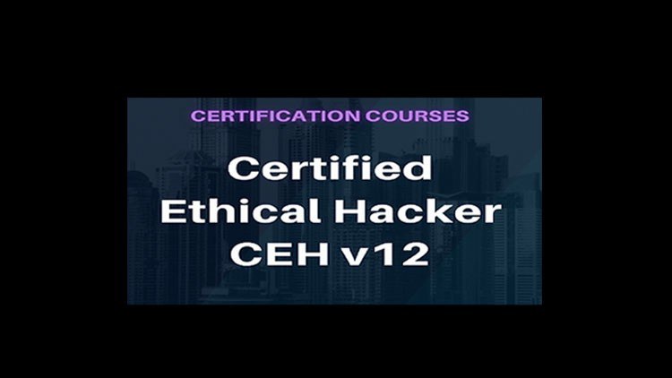 CEH v12 Certified Ethical Hacker Exam: 312-50 Practice Exam