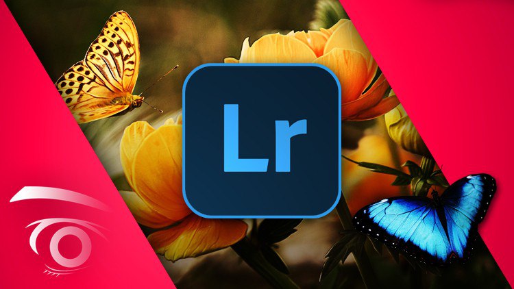 Adobe Lightroom Classic CC: Master the Develop Module