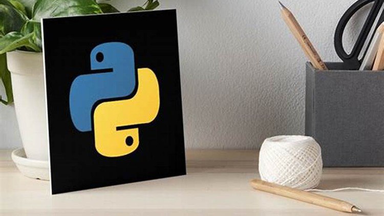 Python Mastery: Your Express Path to Programming Prowess