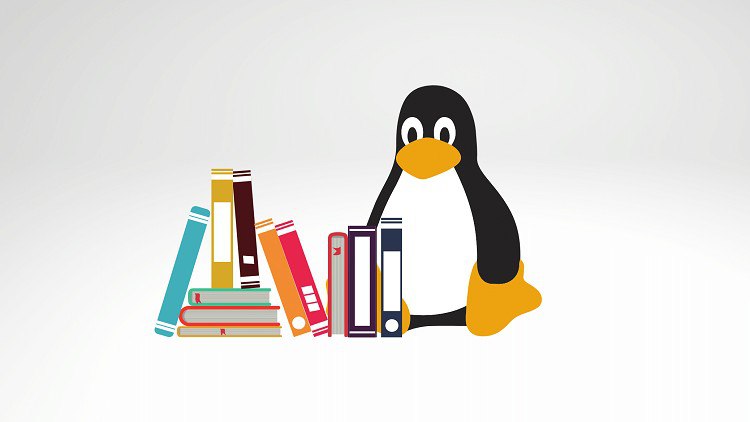 Терминал Linux. Основы работы в командной строке.