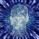 Unleashing Your Brain’s Potential for Enlightenment