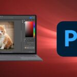 Adobe Photoshop CC For Absolute Beginner to Advanced