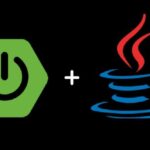 Java + Spring Boot, Rest Web Services, MVC, Microservices