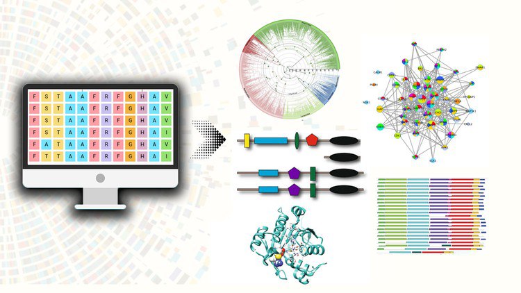 De-Novo Proteomics Data Analysis for Bioinformatics Research