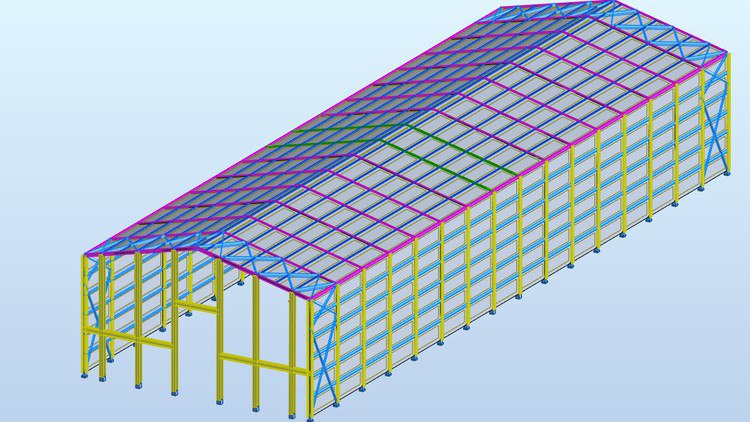 Robot Structural Analysis (Steel Structure)